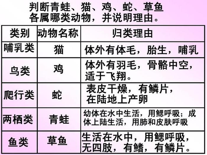 动物科学知识大全 动物的科学常识有哪些