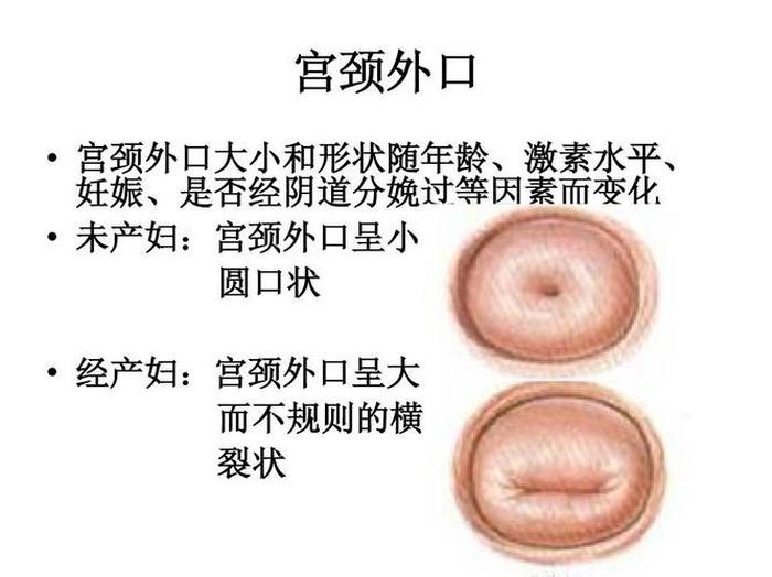 女性必知的6条生理健康知识 - 青少年必知的生理