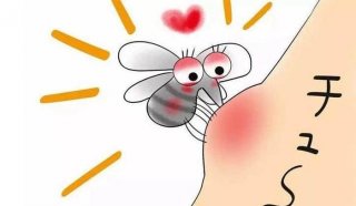 蚊子的冷知识搞笑 关于蚊子的幽默笑话