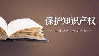 保护知识产权的段子、知识产权的语录