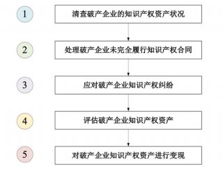 哪些是知识产权战略的内容；我国的知识产权政策和措施不包括