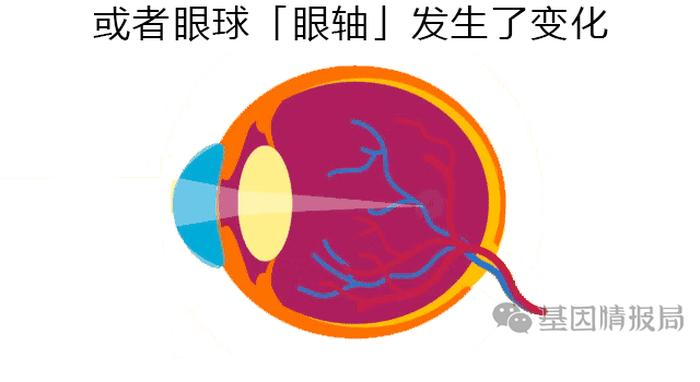 飘过的知识 - 动态视力与静态视力