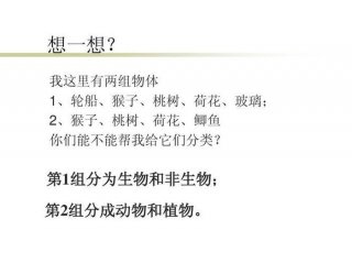动植物知识举例说明 - 即是动物又是植物的生物