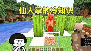 牧牧我的世界冷知识 - 我的世界视频播放量最大的网站
