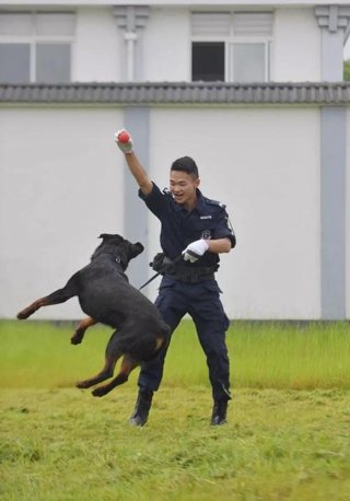 十万个为什么简短，警犬的特殊本领