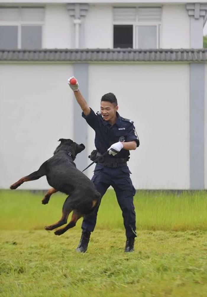 十万个为什么简短，警犬的特殊本领