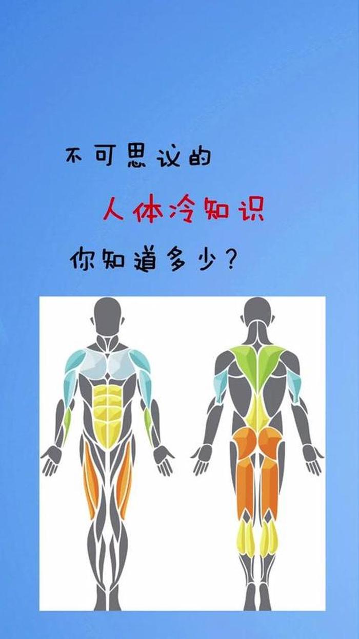 人体冷知识科普 人体基本常识