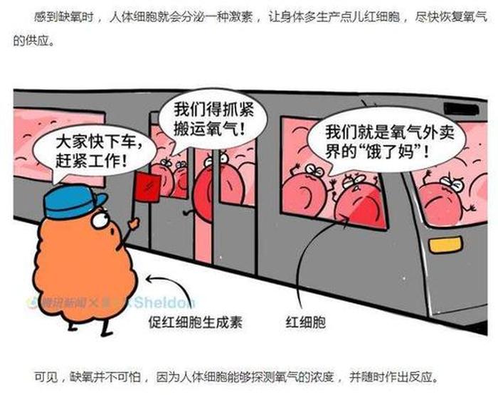 医学常识大全 - 医学科普动画制作