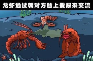 稀奇古怪的冷知识图片 500个有趣冷知识