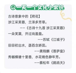 每天一个文化小知识 每天一个小知识