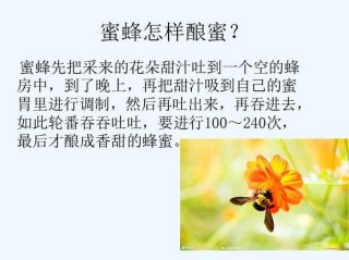 适合幼儿讲的科学小常识、幼儿科学小常识100条