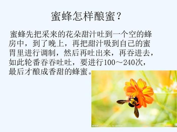 适合幼儿讲的科学小常识、幼儿科学小常识100条