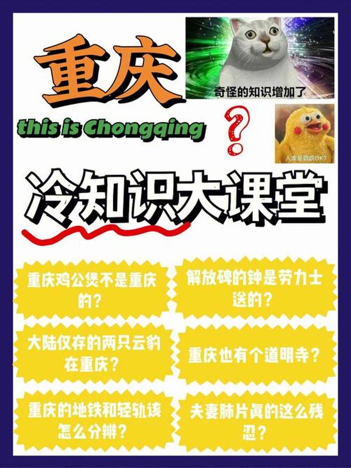 有用的冷知识手机进水；什么叫冷知识