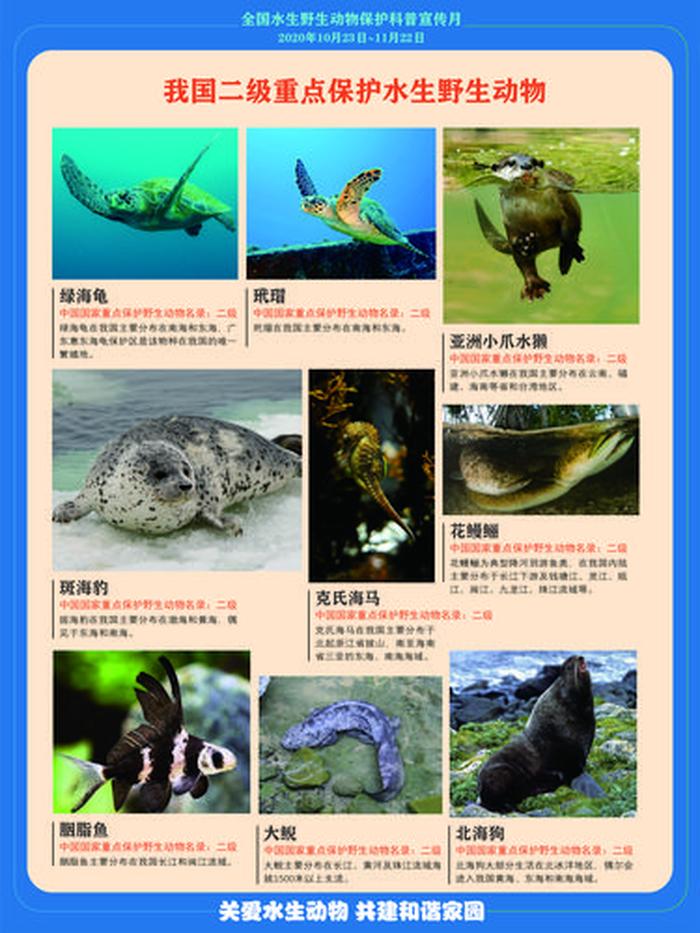 动物科普小知识400字；有关动物的科普小知识
