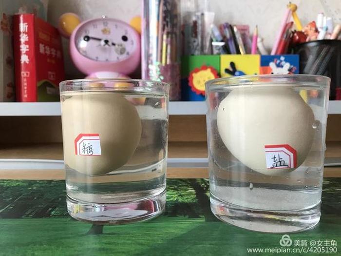 十个简单的科学小实验鸡蛋，科学小实验鸡蛋和盐