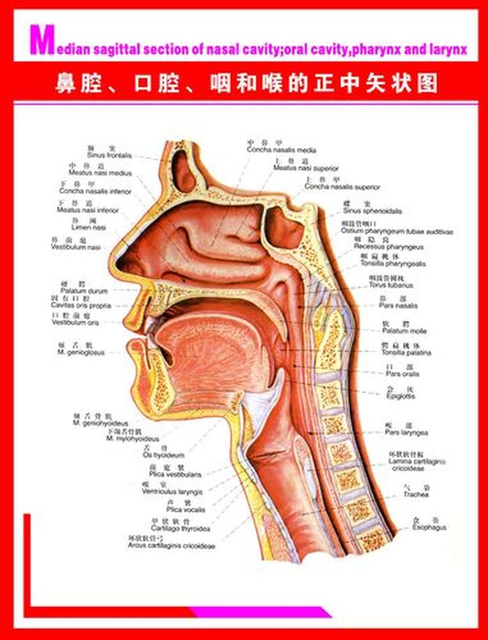 科普知识大全实用图片；什么是科普知识