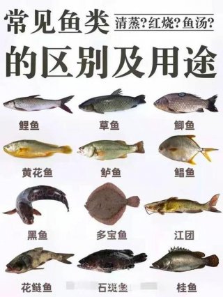 趣味冷知识科普排行榜；趣味地理冷知识