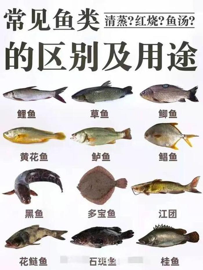 趣味冷知识科普排行榜；趣味地理冷知识