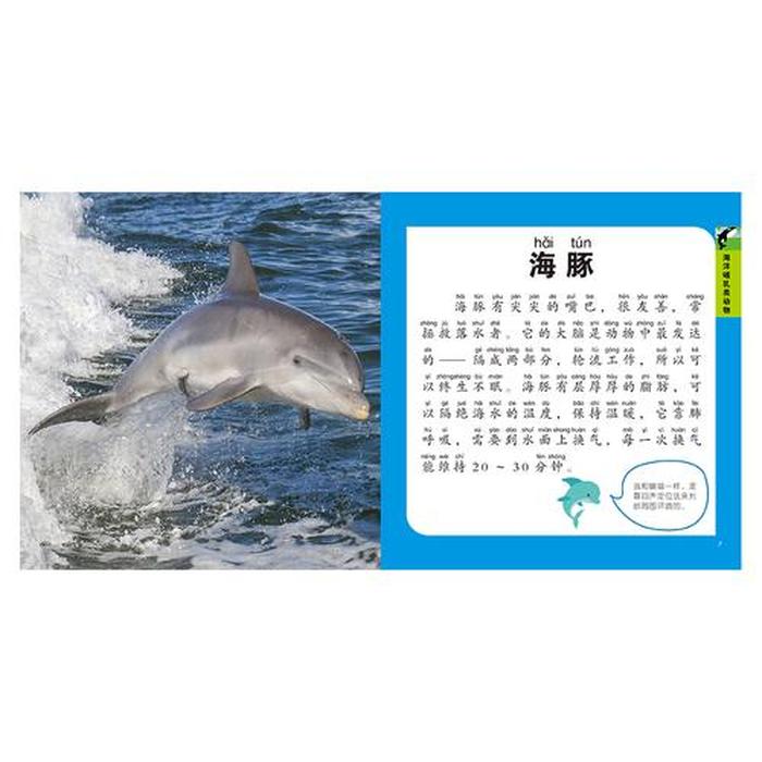 幼儿百科知识动画，幼儿百科常识1000题
