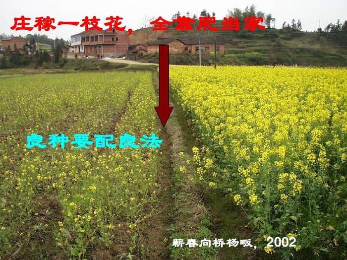 植物如何施肥科普讲座；施肥怎么施