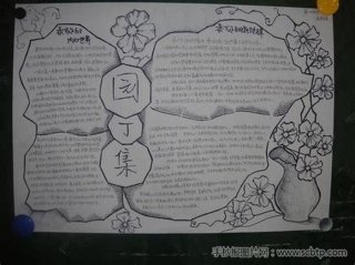 生活必知常识手抄报，高中生必知的百科常识