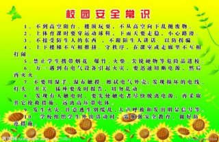 校园安全知识内容，校园安全十个注意事项