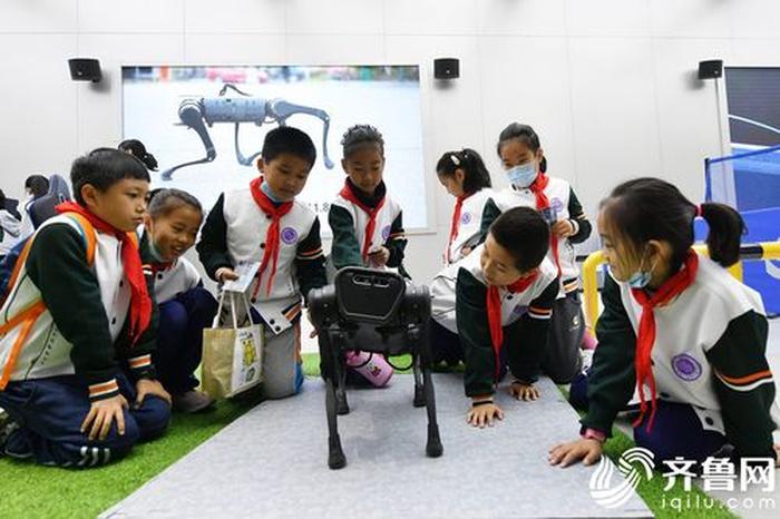 小学生科技方面科普知识 - 小学生劳动技能有哪些