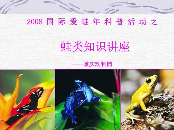 动物科普小知识400字；有关动物的科普小知识