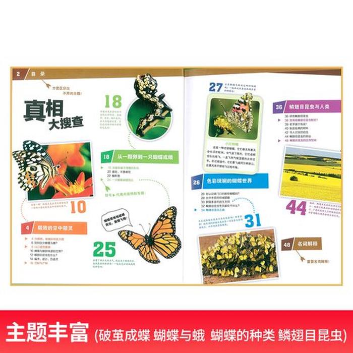 科学百科知识大全 - 幼儿科普知识大全简单