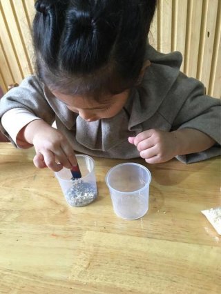 儿童科学小实验100个完整版 科学小实验幼儿园