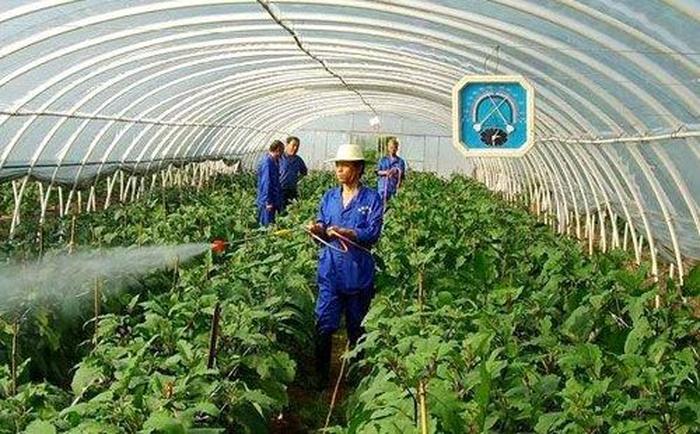 植物如何施肥科普讲座；施肥怎么施