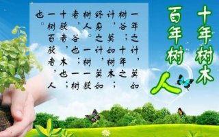 关于知识产权的名人名言 知识产权创造古诗名言