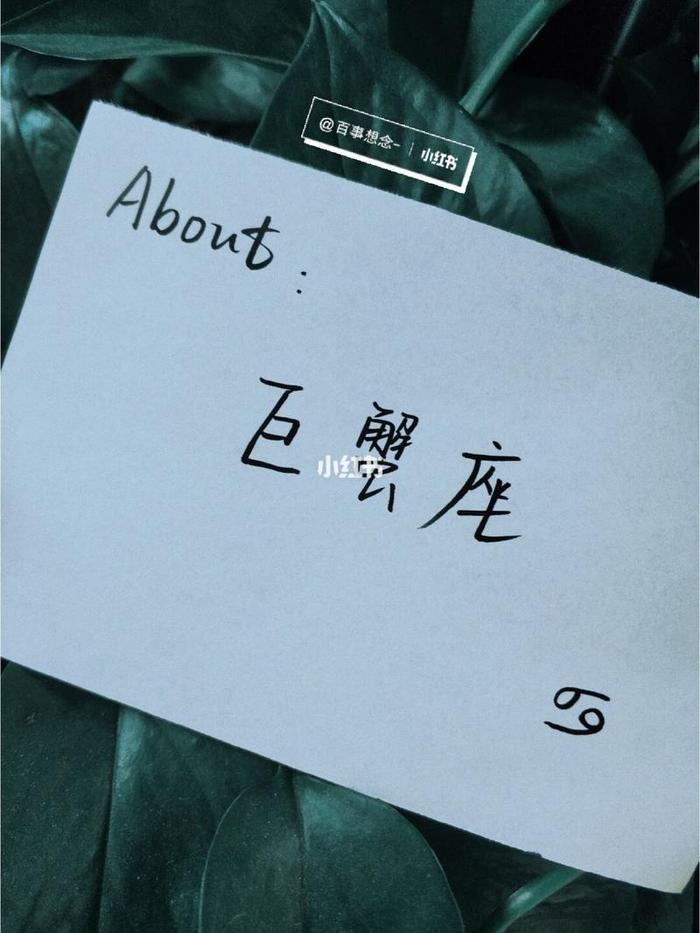 冷知识热门文案，干净文艺文案