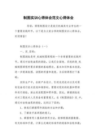 知识产权心得体会800字范文 - 关于知识产权的感悟