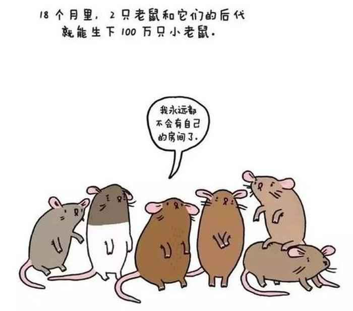 奇葩冷知识测评、超级搞笑冷知识