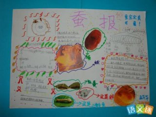 自然科学科普小知识内容 自然科学的基础