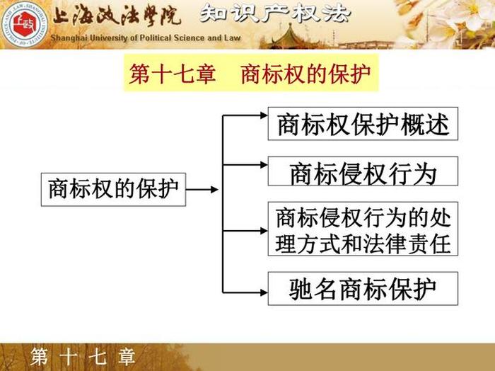 知识产权包括哪些 - 知识产权商标权知识点总结
