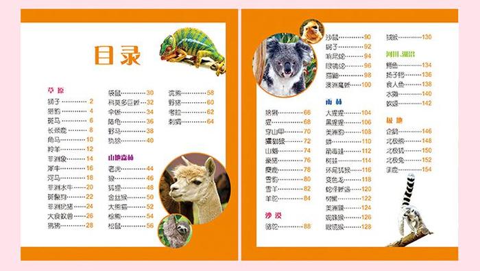 小学生动物科普知识 - 幼儿动物科普小知识