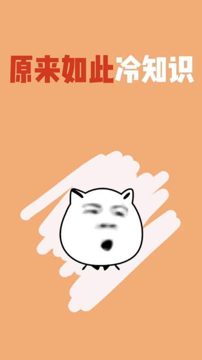 搞笑冷知识视频、冷知识视频素材
