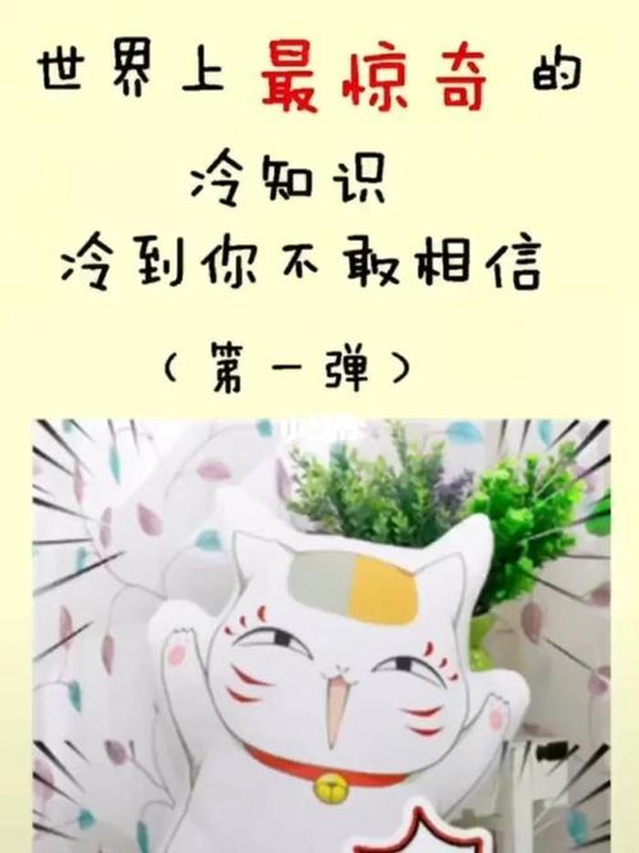 实用冷知识科普 - 世界之最科普冷知识