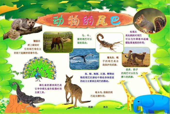 生活知识全、生活科普知识大全