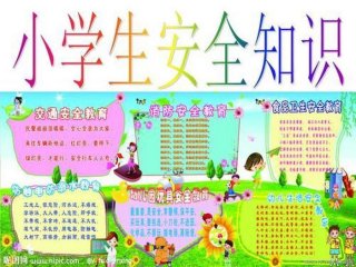 安全教育知识大全查询、安全教育知识资料大全