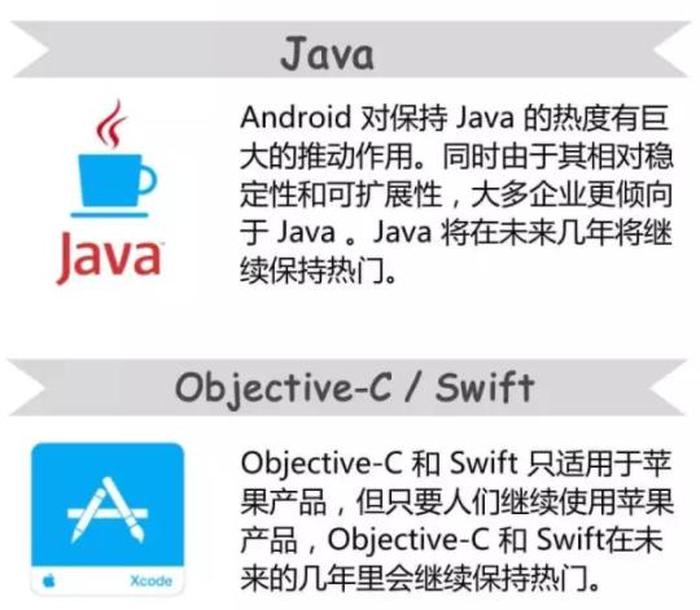 it入门先学哪个语言，Python和JavaScript哪个简单