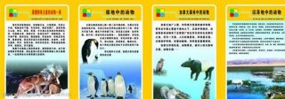 小学生动物科普知识 - 幼儿动物科普小知识