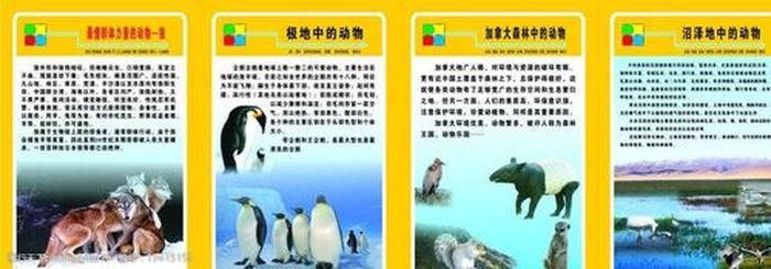 小学生动物科普知识 - 幼儿动物科普小知识