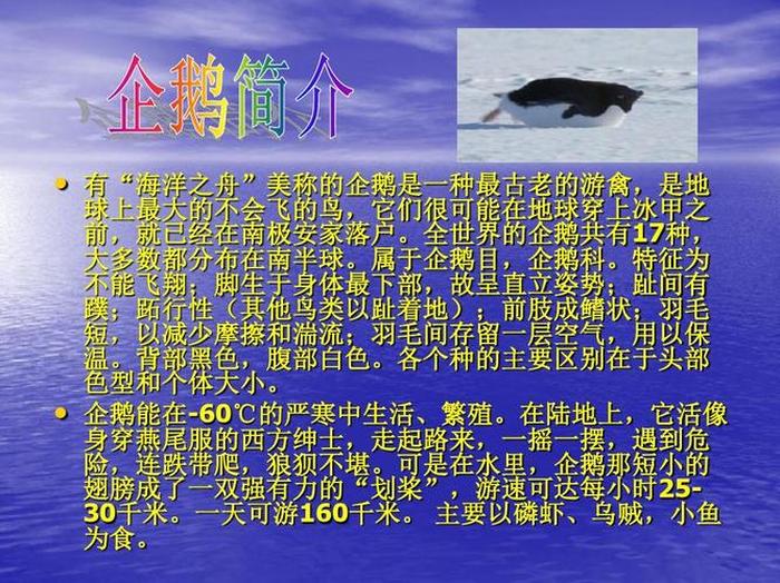 企鹅科普知识资料大全、科普知识内容大全简短