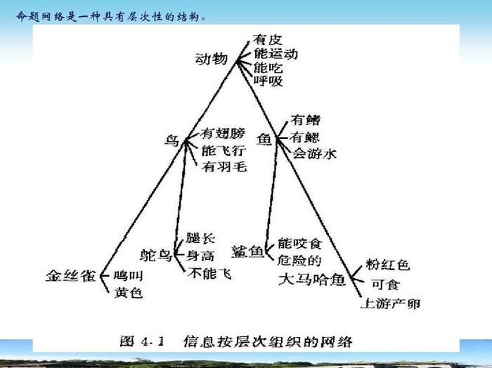 知识具有什么信息性等特征 - 下列不属于知识的功能的是