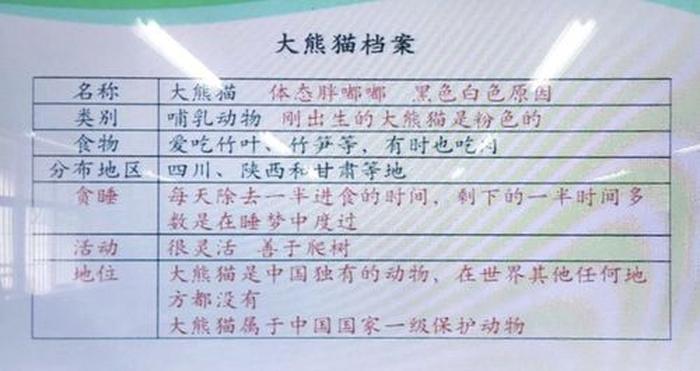 大熊猫的知识科普幼儿园，大熊猫的科普知识