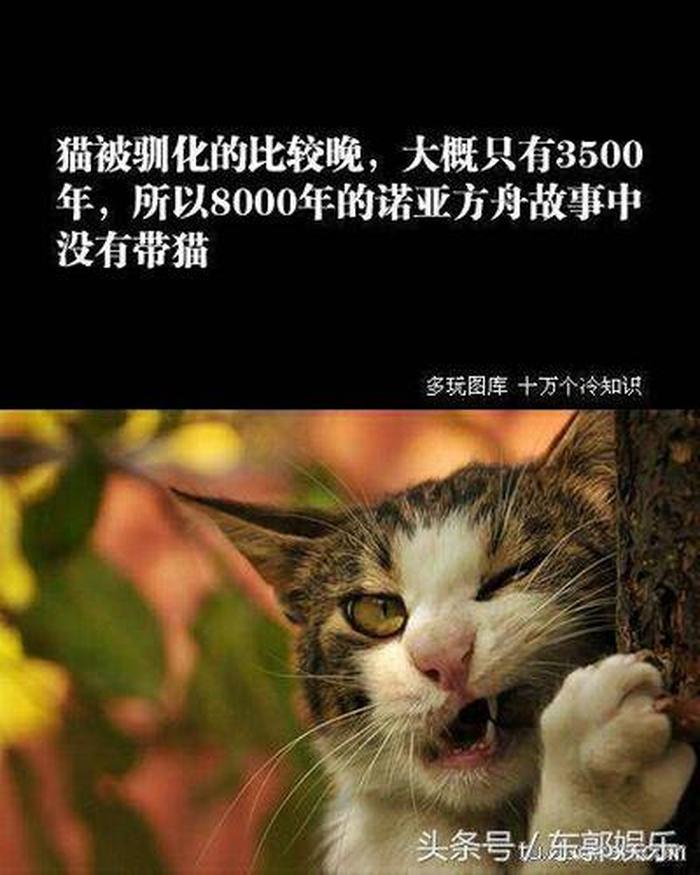 语文冷知识常识；语文冷知识百科大全