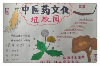 有趣的中医小知识手抄报 - 中医药手抄报简单好看